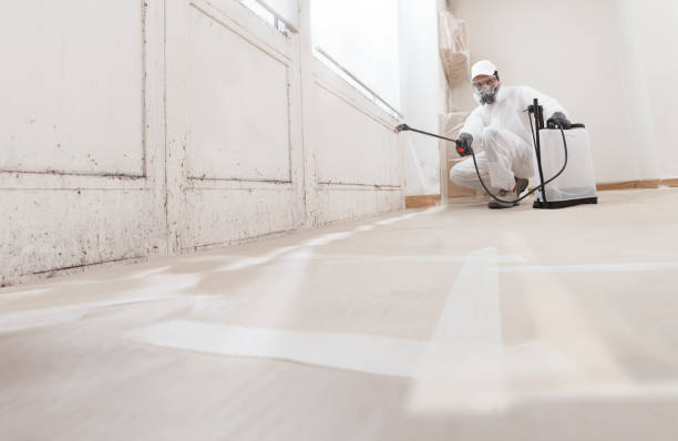 24/7 Emergency Mold Inspection experts in Fremont, MI