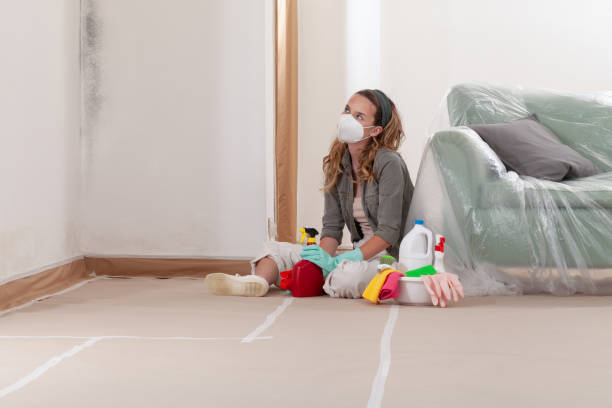 Trusted Bathroom Mold Removal service in Fremont, MI - Cheap Mold Removal